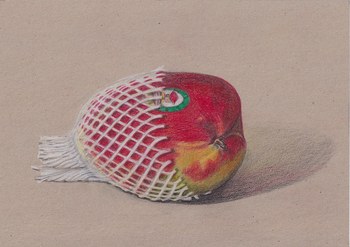 Marita Czepa, Schön Verpackt I, 2026, Buntstift auf Karton, 21 x 29,7 cm