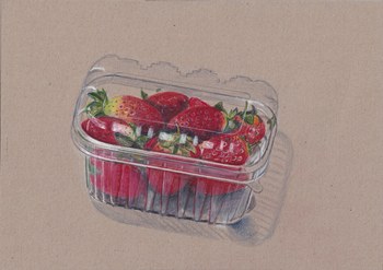 Marita Czepa, Schön Verpackt II, 2026, Buntstift auf Karton, 21 x 29,7 cm